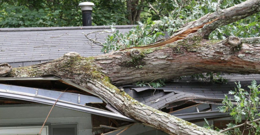 Un árbol cayó sobre una casa tras una tormenta en Beauport. Será retirado por Emondage Beauport.