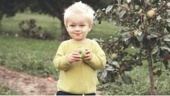 Enfant à Beauport qui mange une pomme d'un pommier planté par Emondage Beauport.